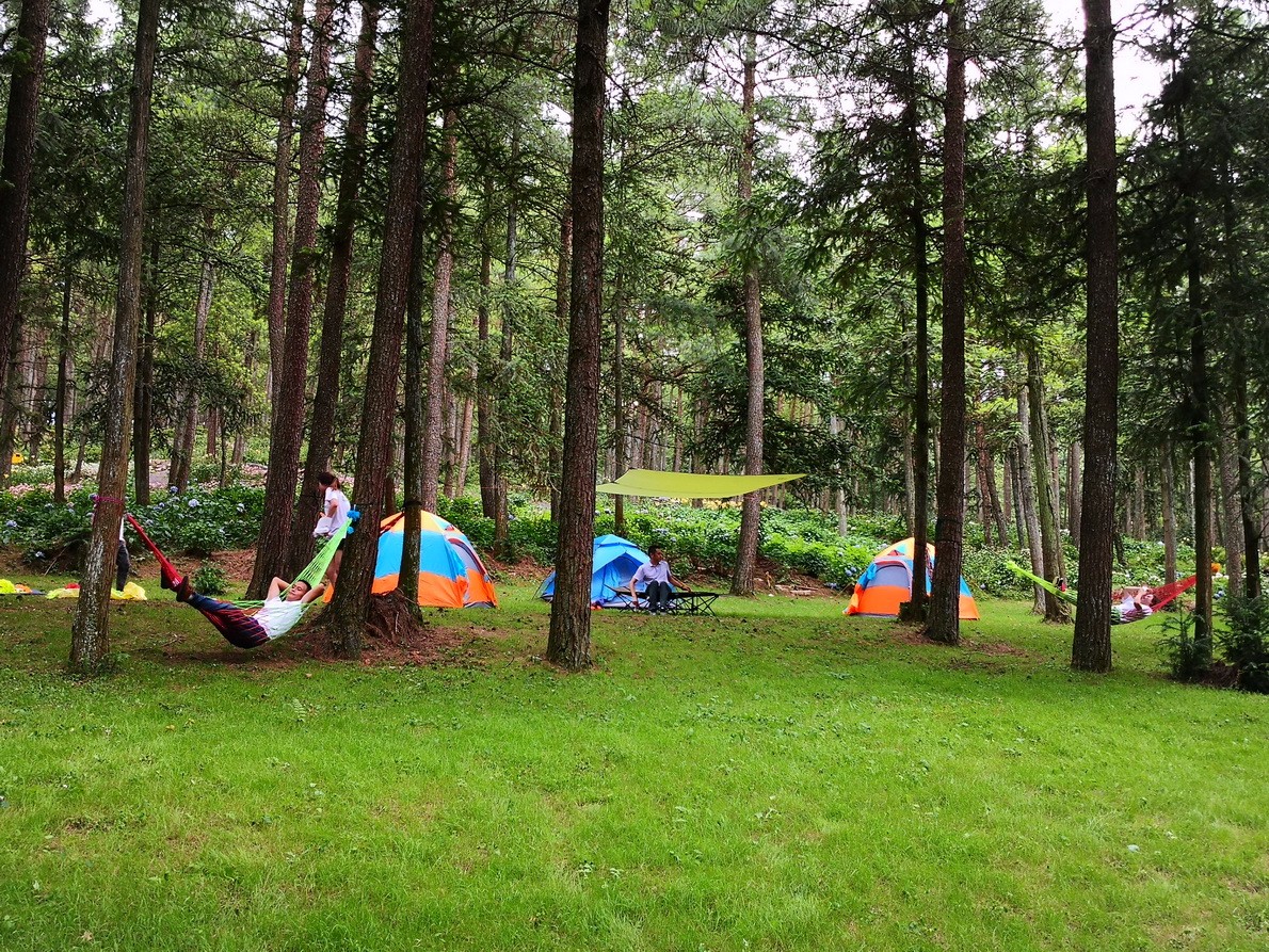 一个来了就想留下来的最美露营基地