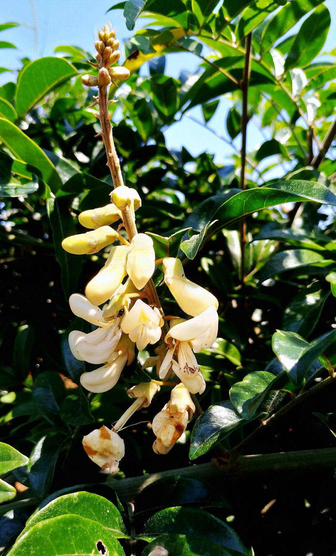带父母到阳山小江镇,走一趟知青之旅|雷公岩|牛大力|小江镇_新浪新闻