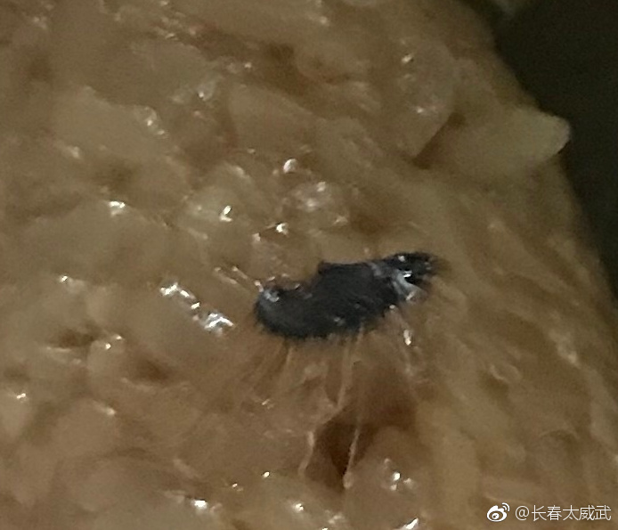 三全食品粽子中出现异物商家回复有点糊弄人