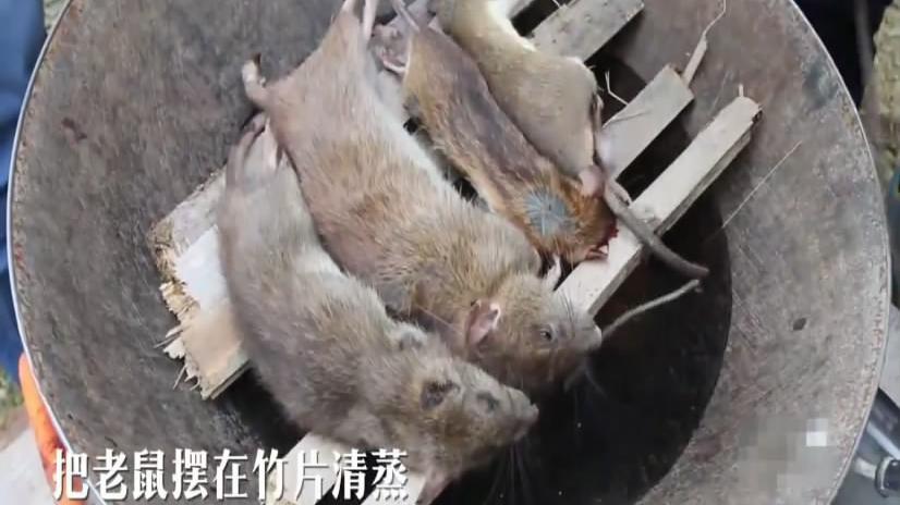 老鼠干!《舌尖上的中国3》!