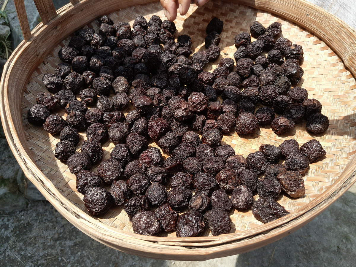 没想到在老兵家里就看到,正在晒着的李子干.