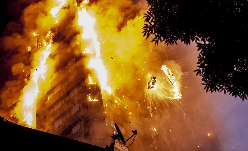 这位妈妈最后不幸被大火所吞噬.