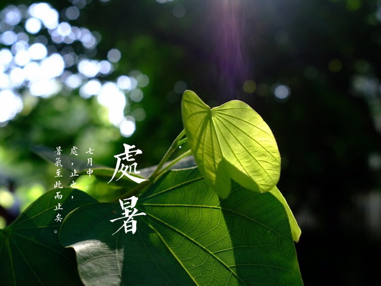 一度暑出处暑时,秋风送爽已觉迟_新浪新闻