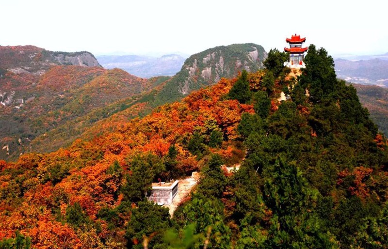 看红叶何必去北京香山 陕西铜川照金这片红叶美如画