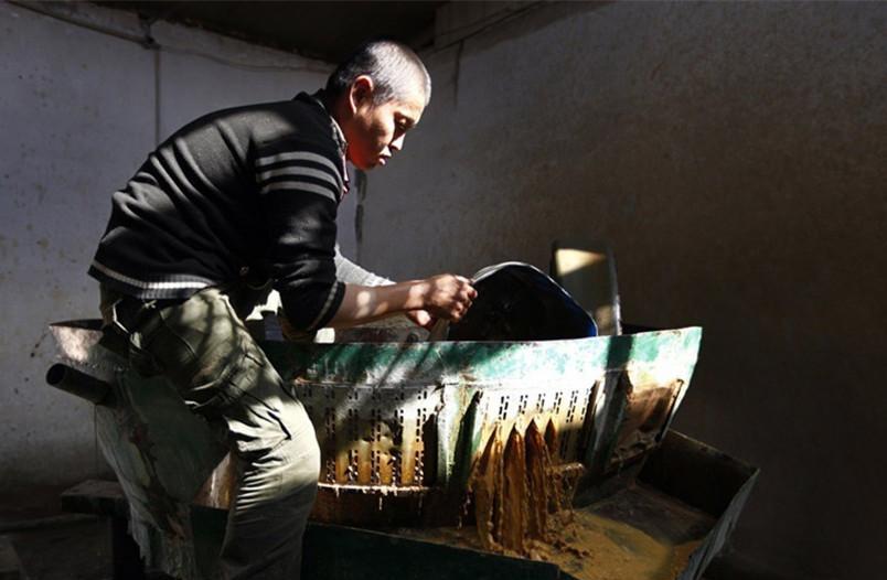 直击蒙古的"忍者淘金工": 牧民化身偷金贼, 草地里挖孔淘出黄金