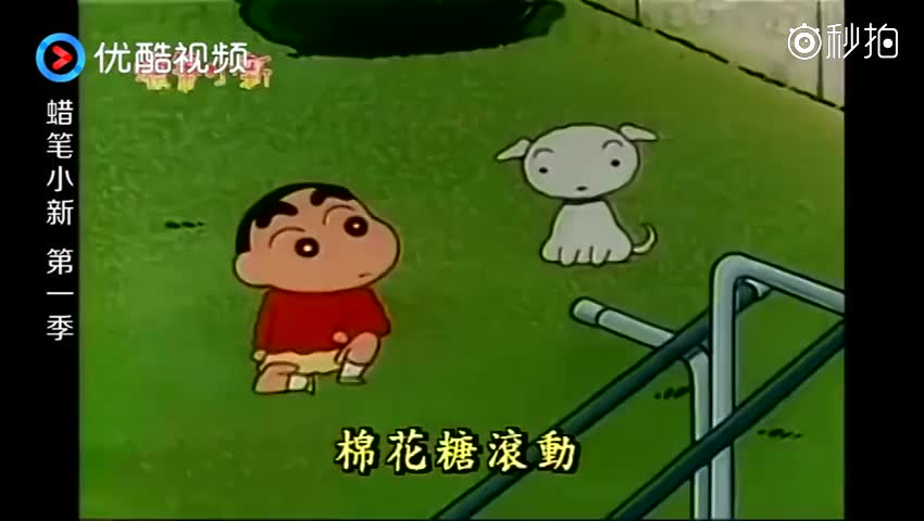 蜡笔小新:小新教小白棉花糖滚动,结果小白推着他一起滚!