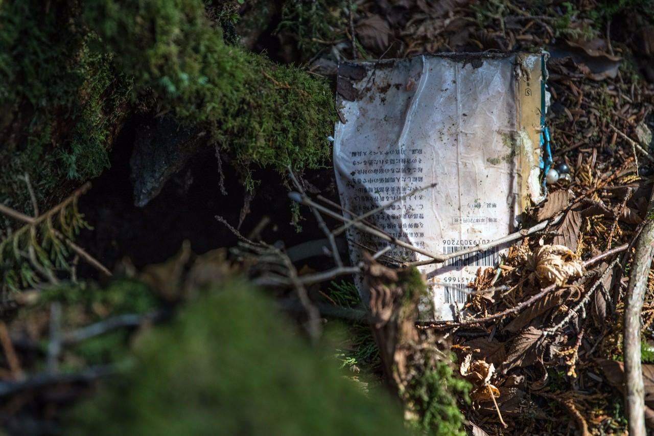 日本自杀森林绳索随处可见阳光下依旧苍凉