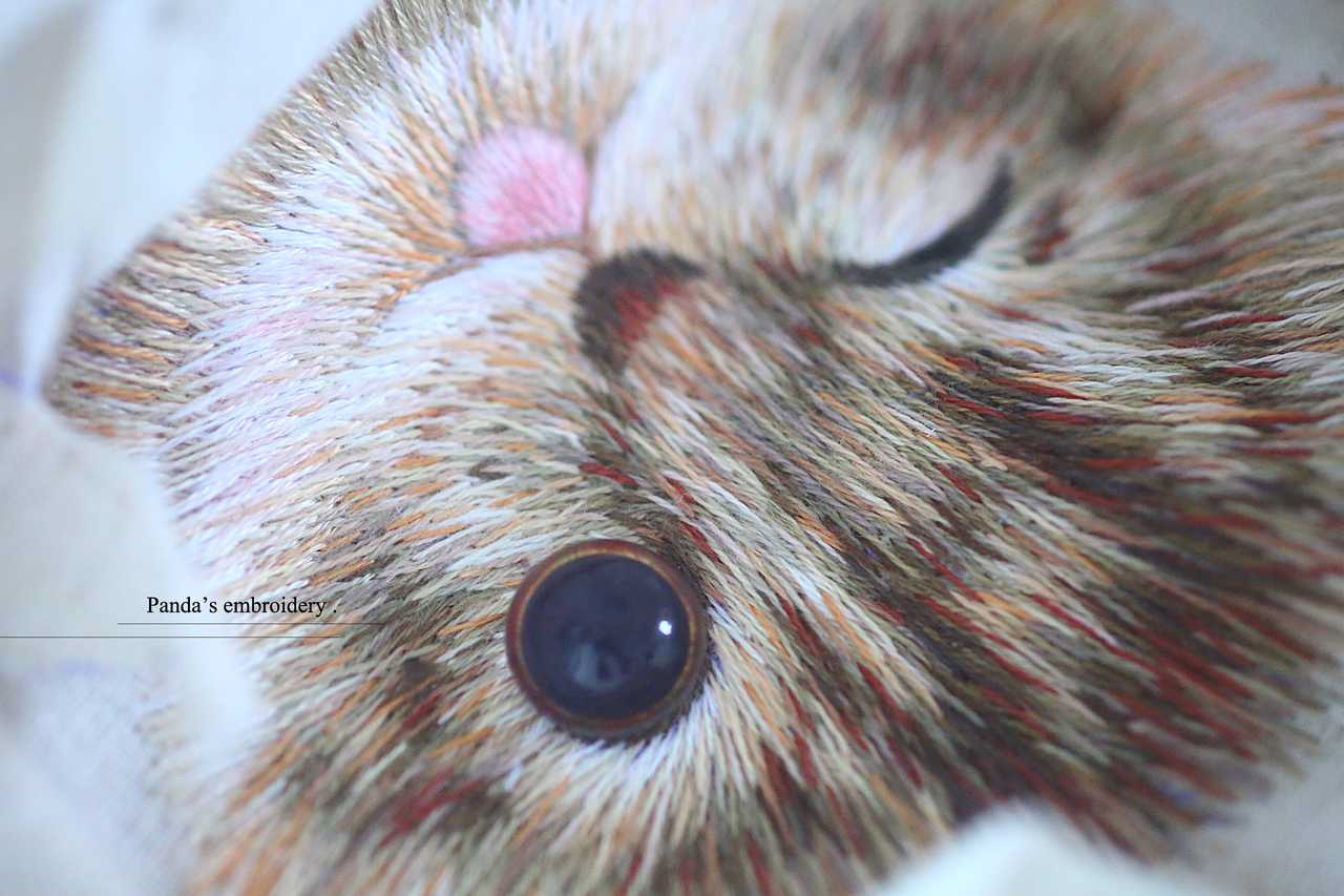 用湘绣的散套针,结合法国dmc的纯棉绣线,绣出一个个仿真的动物