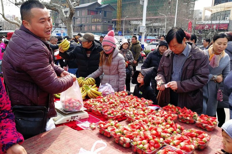图中的草莓是15块钱2斤,又在大集路口,吸引了众多赶集市民购买.
