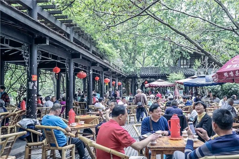 51茶馆的独特魅力,为什么它能成为都市人的精神栖息地