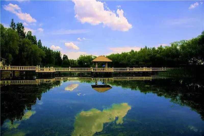 绿色生命的奇迹——恩格贝|恩格贝|沙漠|沙漠绿洲_新浪网