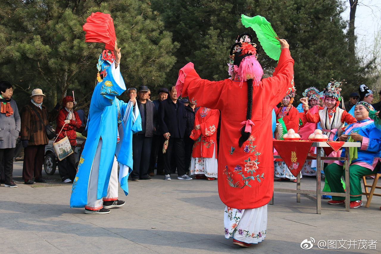 "五女拜寿"(1)
