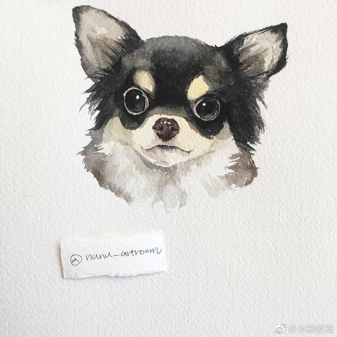 水彩动物类作品欣赏 by ins: nunu_artroom
