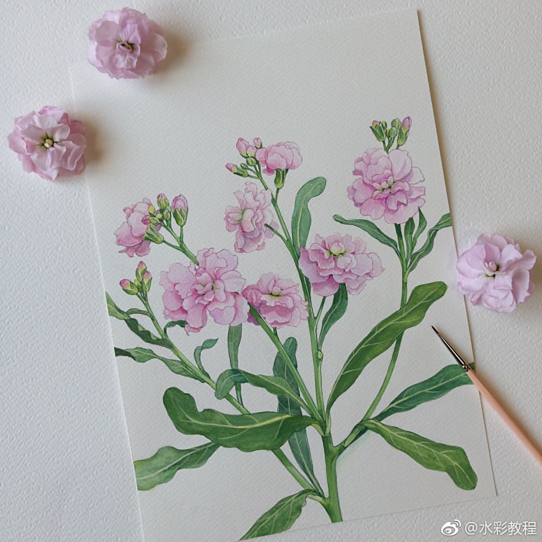 水彩花卉植物欣赏byinsmeyahome2