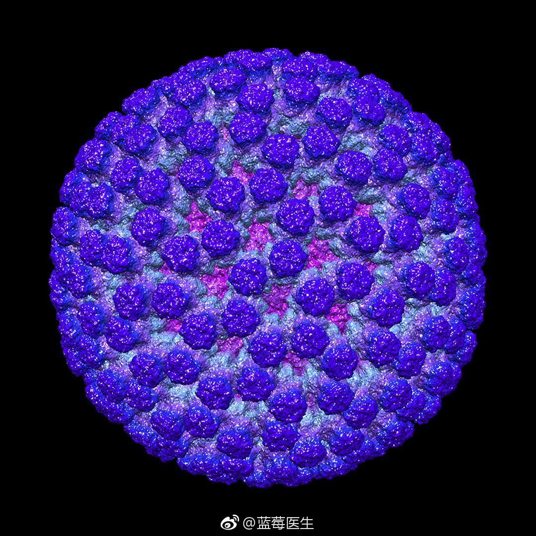 轮状病毒疫苗是预防轮状病毒肠炎的疫苗