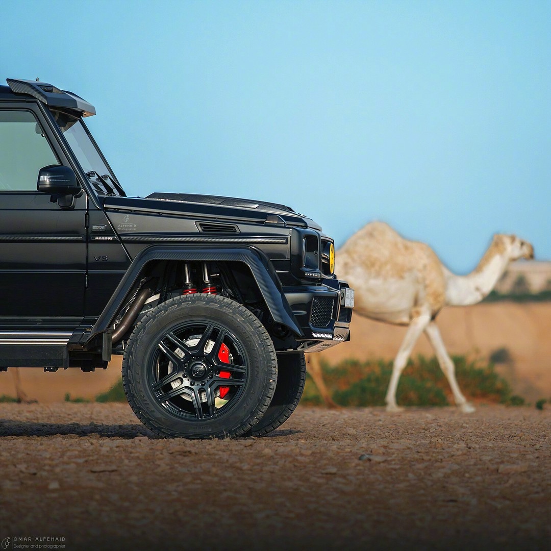 奔驰g4x405沙漠骆驼