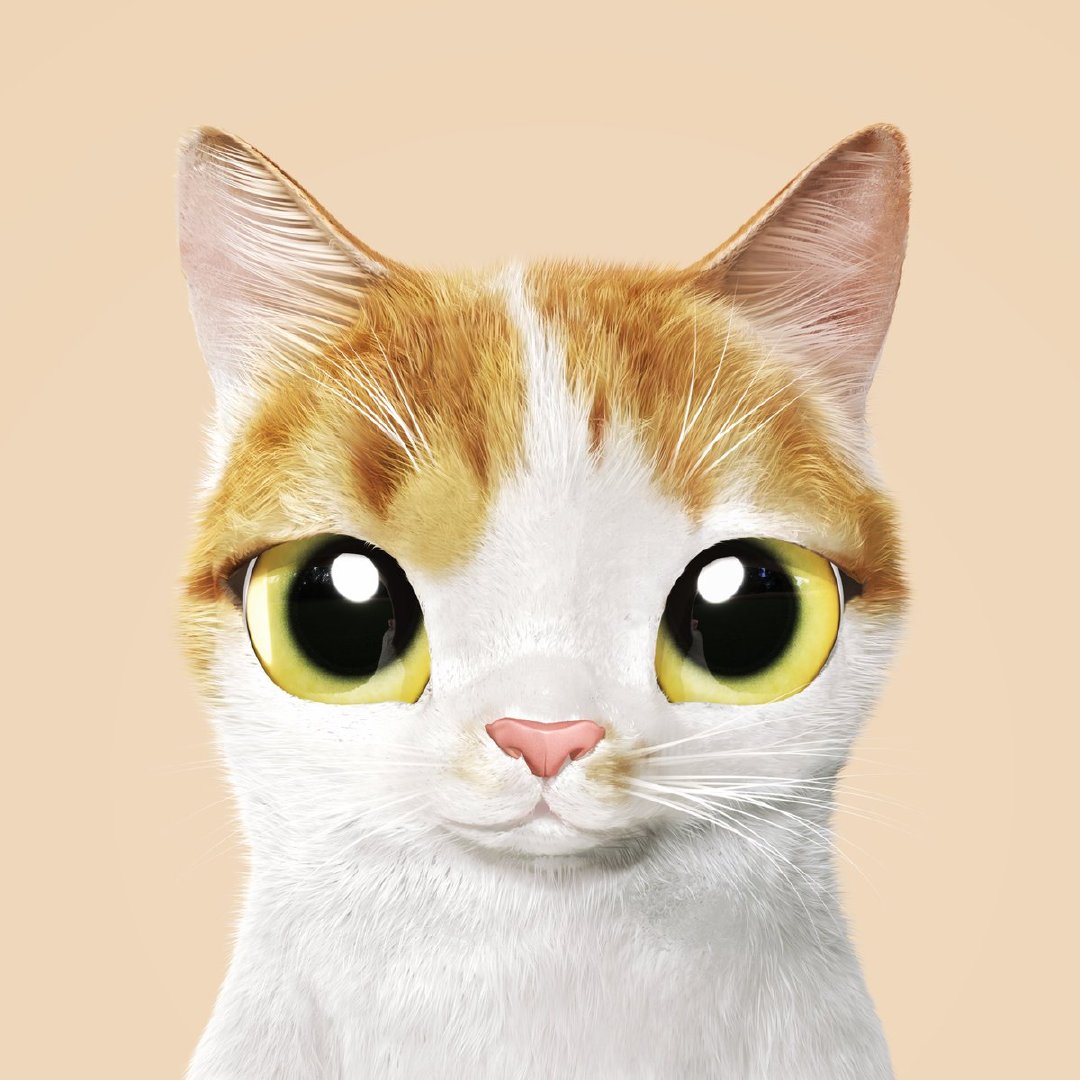 大眼猫咪,有喜欢的自己保存.