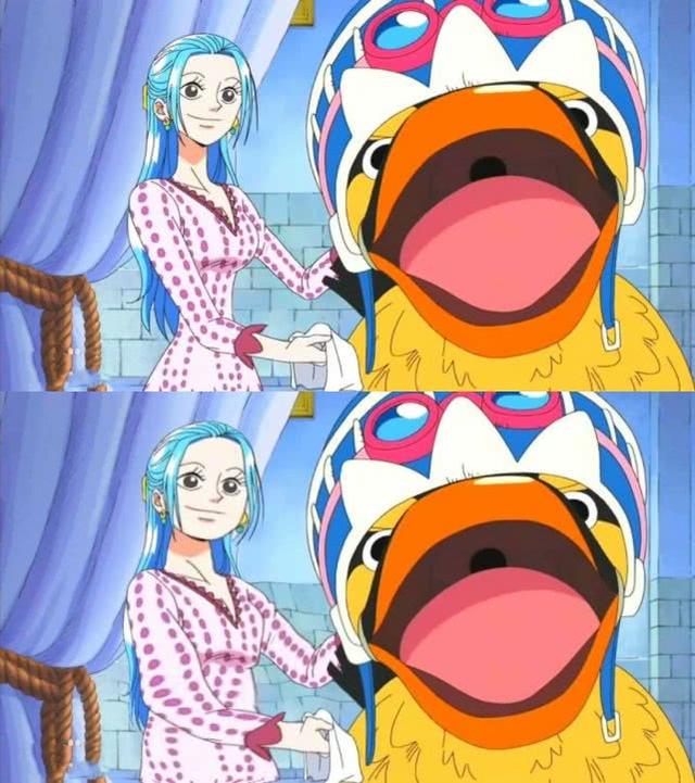 海贼王5位美女变成胖子娜美罗宾都毁了唯独她变得更漂亮