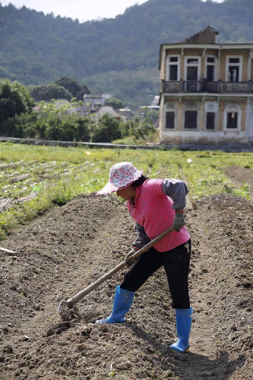 这里干农活的都是女人一天挣七八十块男人不干活是历史传统