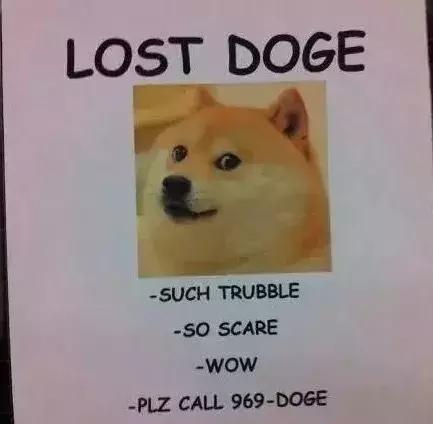 别闹了,这样的寻狗启示也能找到狗?还真能