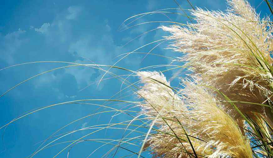 适合露肤穿搭的夏季你会怎么穿?