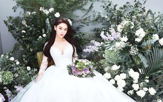 张馨予与何捷大婚,新娘一组时尚婚纱照曝光