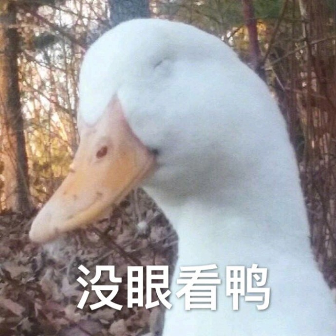 一组萌萌哒小鸭子表情包 开心鸭