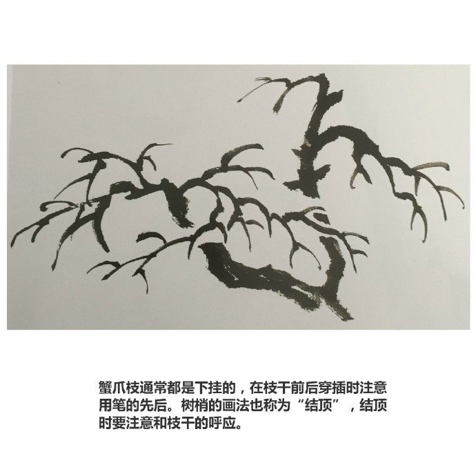 国画树法蟹爪枝的画法微博国画