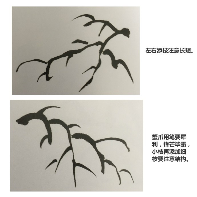 国画树法蟹爪枝的画法微博国画