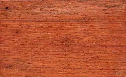 只有产在这个地方的才叫"紫檀",其它都不是|迈索尔|紫檀|紫檀木_新浪