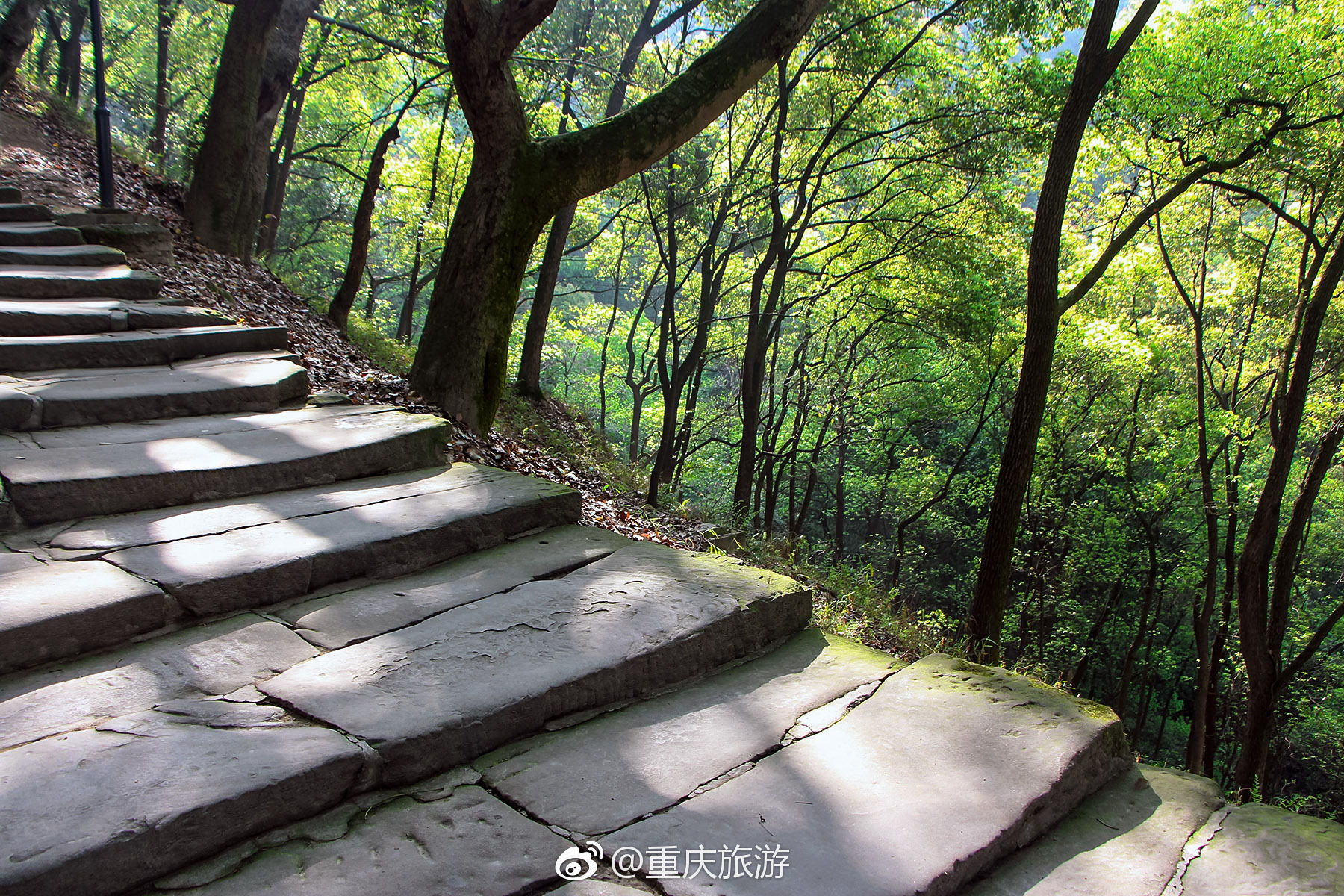 黄葛古道|古道|重庆|黄桷垭_新浪新闻