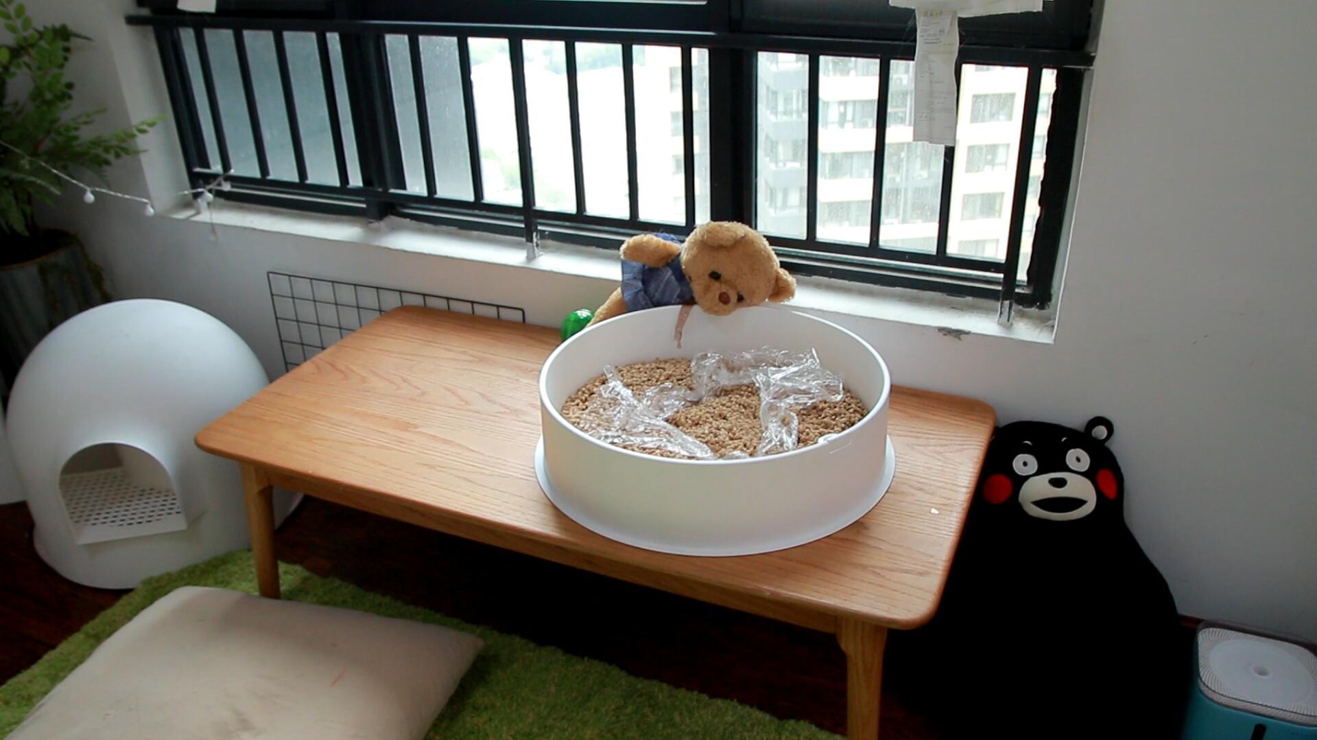 有些猫注定要成为猫肉汤,好好的农田被踩踏