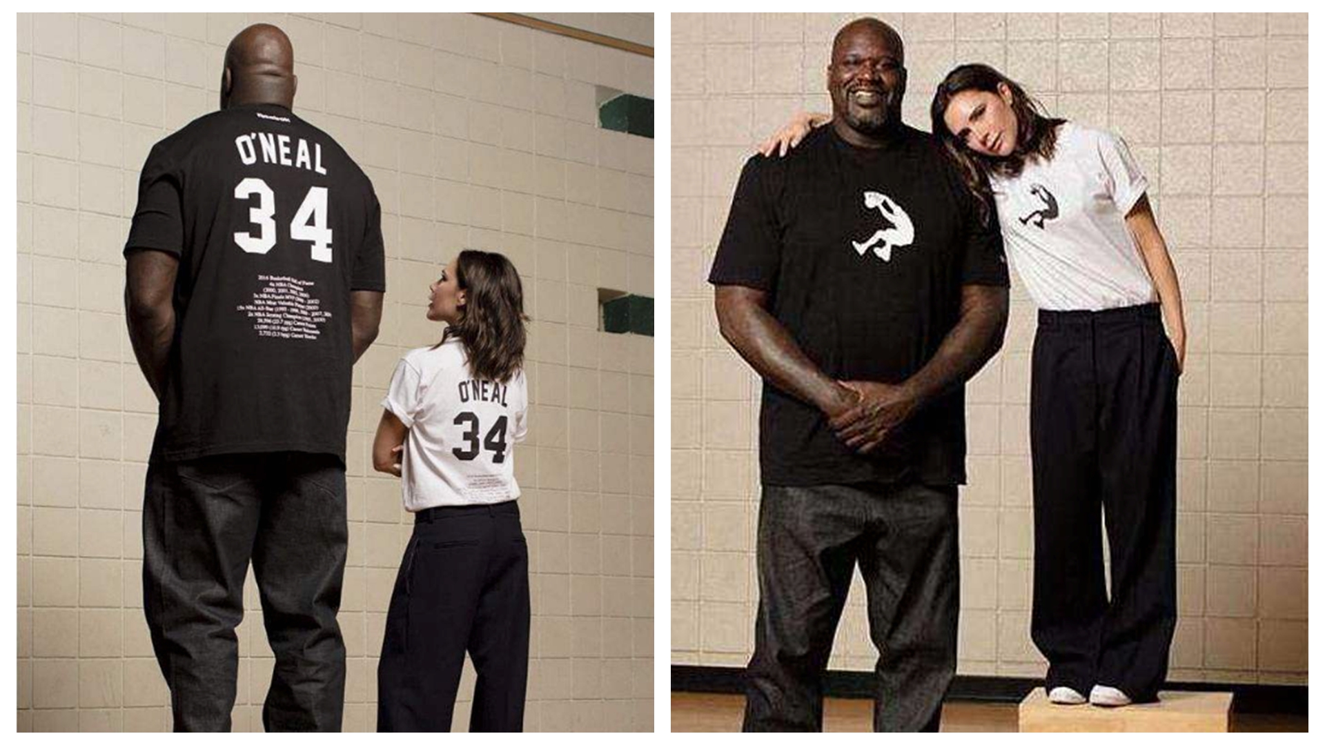 普通人和奥尼尔合影都啥样何炅像小学生维多利亚最机智