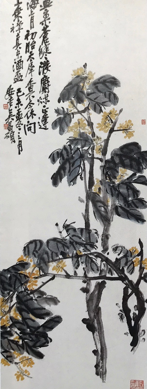 吴昌硕国画作品:桂花黄宾虹国画作品:花鸟徐世昌国画作品:竹子陆柳非