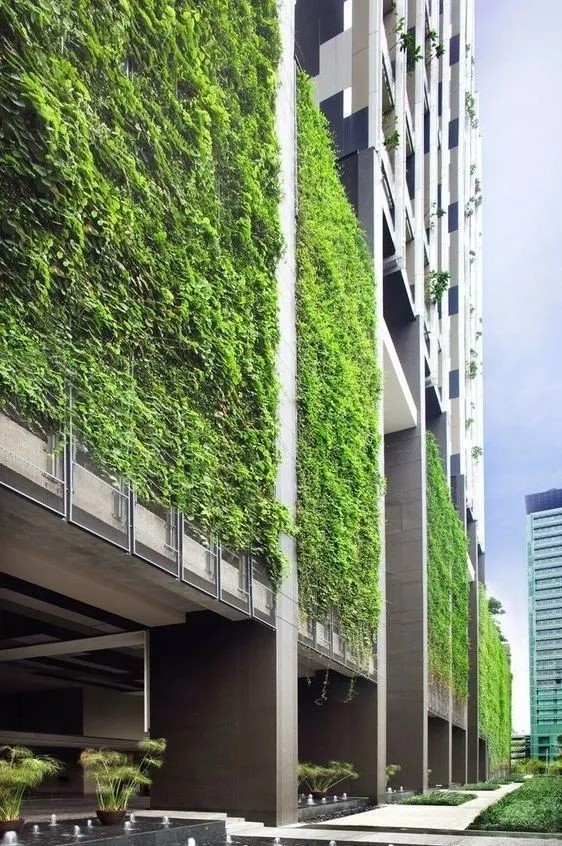 垂直绿化≠绿色建筑,却是能呼吸的房子|墙面|植物|棚架_新浪新闻