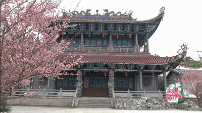 林阳苏颜更新最快 林阳最新章节是多少