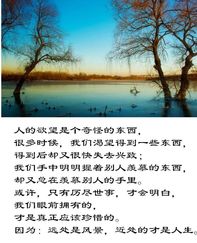 远处是风景近处的才是人生人生感悟