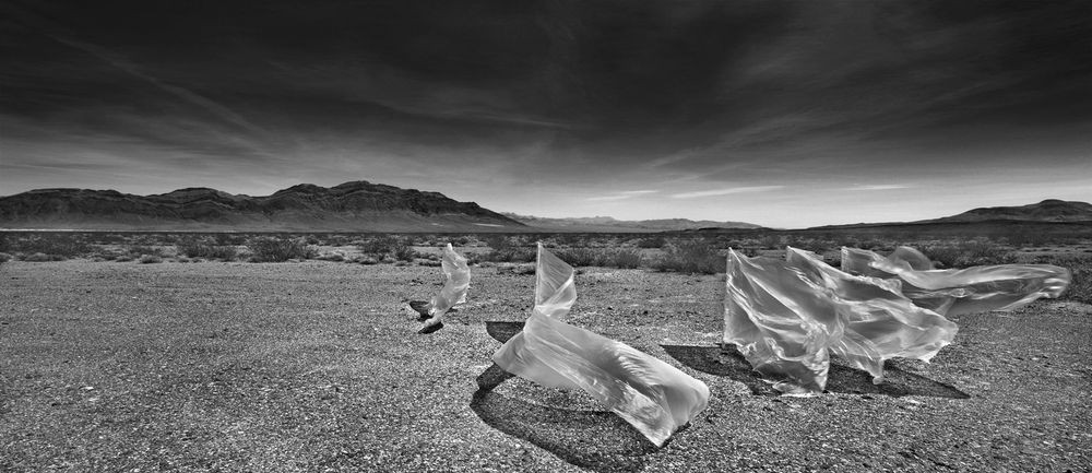 【海外视觉】rafal maleszyk 自然秩序vs人类遗弃物