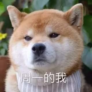 一周七天狗表情包:周一的我,周二的我,周三的我……周六的我|天狗|表情包|一周_新浪新闻
