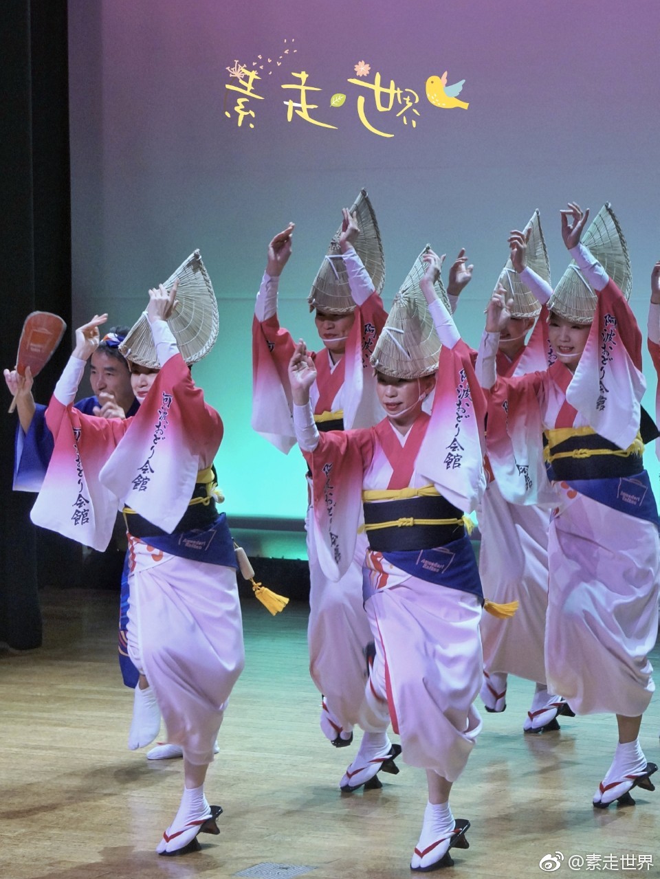 日本德岛的古老舞蹈成了城市标签 日本德岛的阿波舞原是古代阿波国