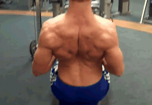 第四组斜方肌训练动作