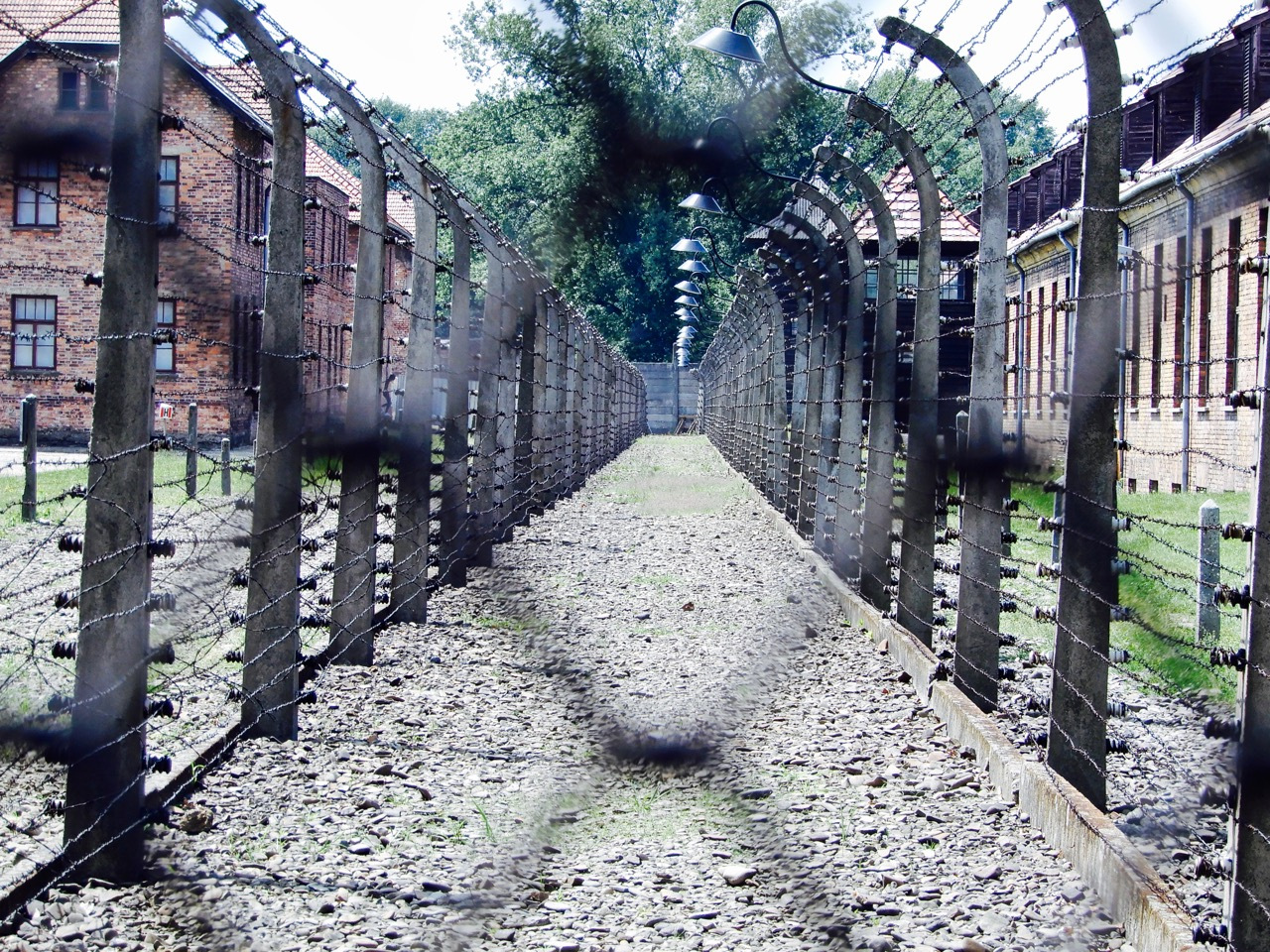 走进奥斯维辛集中营那一天阳光如此灿烂