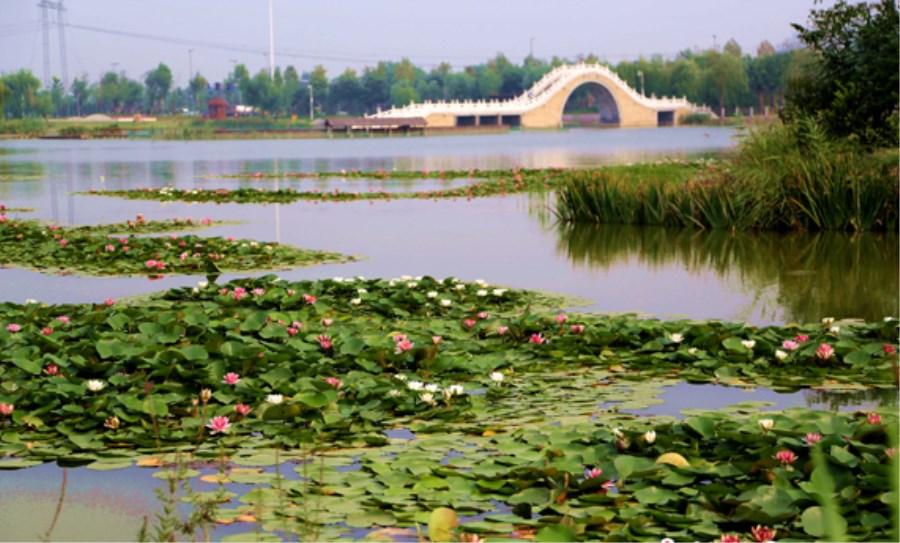 山东淄博桓台县三个值得一去的旅游景点看看有你喜欢的吗