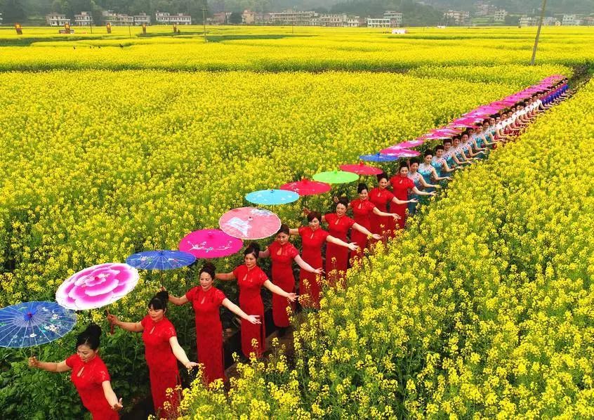 2018湖南首届油菜花节衡阳县开幕,景美"警"色更美!