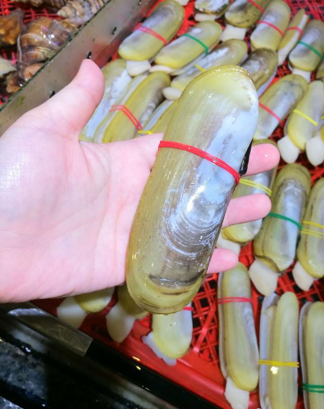 比手掌还大的桂花蚌,其实就是加大版的圣子所以,今天深扒美食再带大家