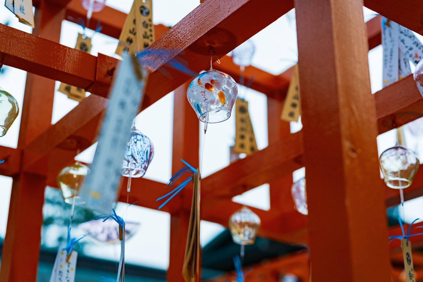 正在举办风铃节的日本新潟市白山神社