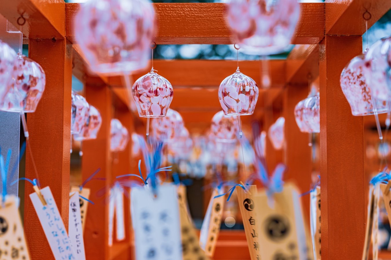 正在举办风铃节的日本新潟市白山神社