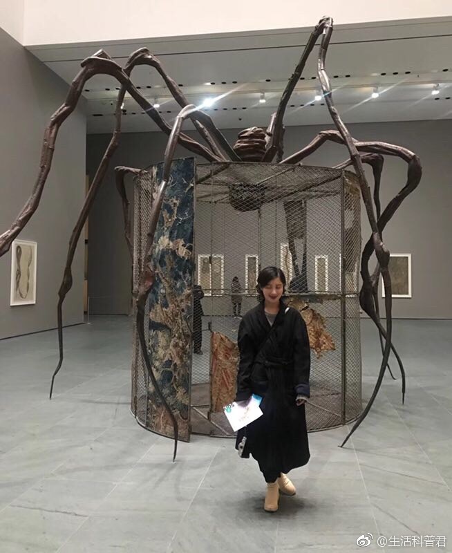 当代画家王雨馨被传遭家暴,女主丈夫正是当红小生黄景瑜