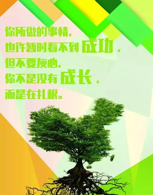 早安语录优美短句 心向阳光正能量的句子