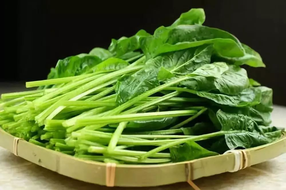 盘点护眼食物?护眼食物